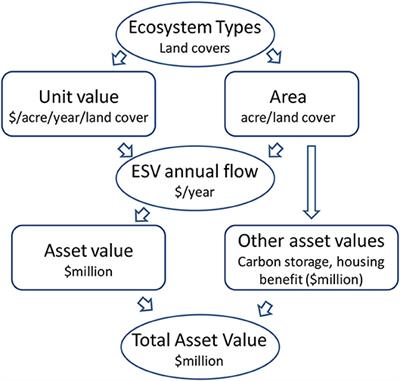 Evaluating Boston Harbor Cleanup: An Ecosystem Valuation Approach